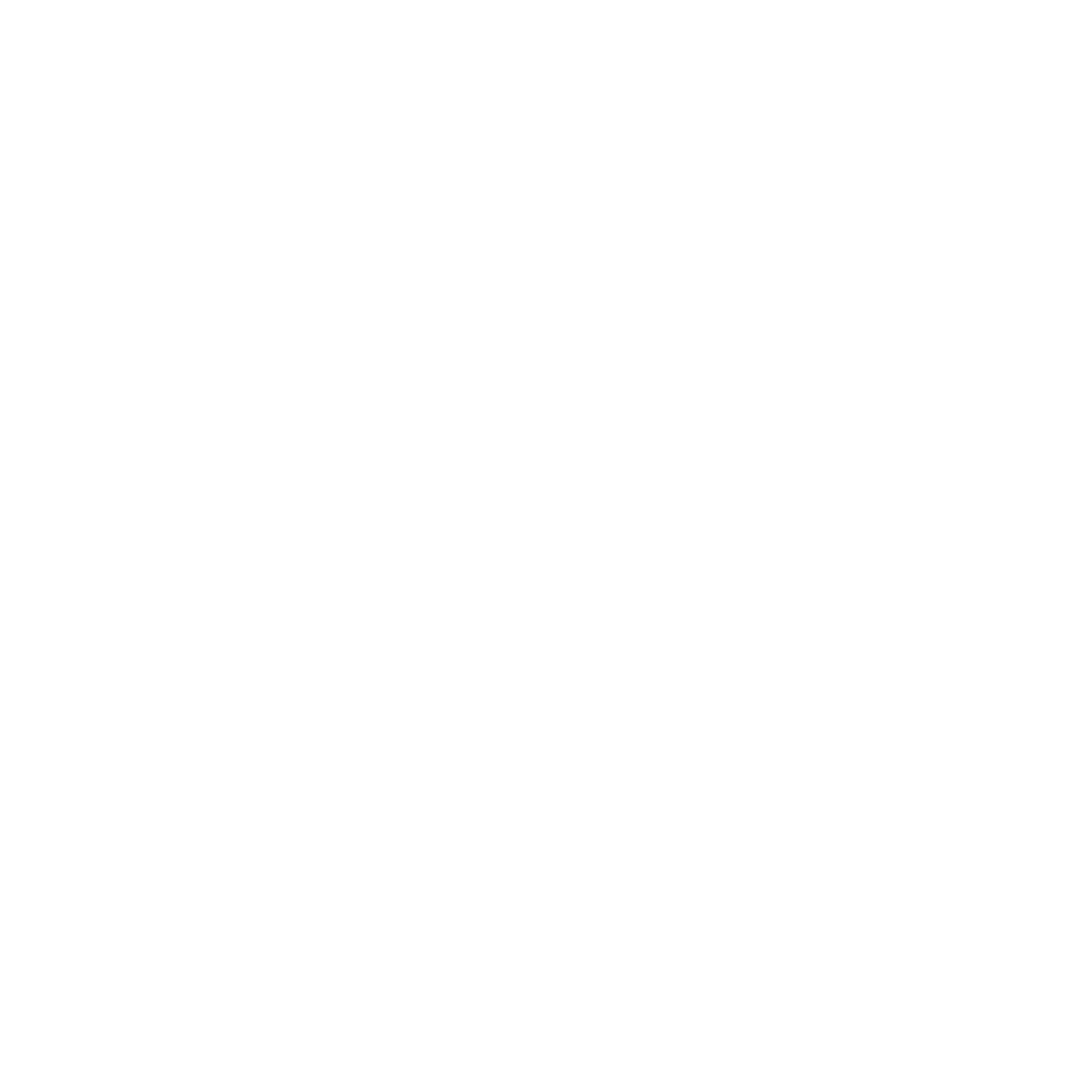 Language Icon